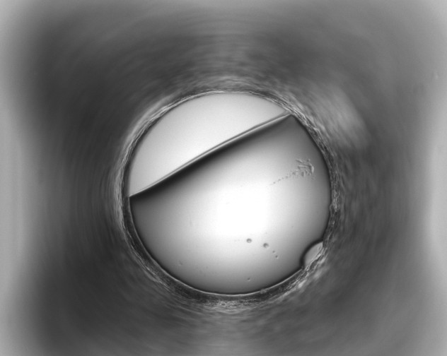 X0000096470341200801241143
