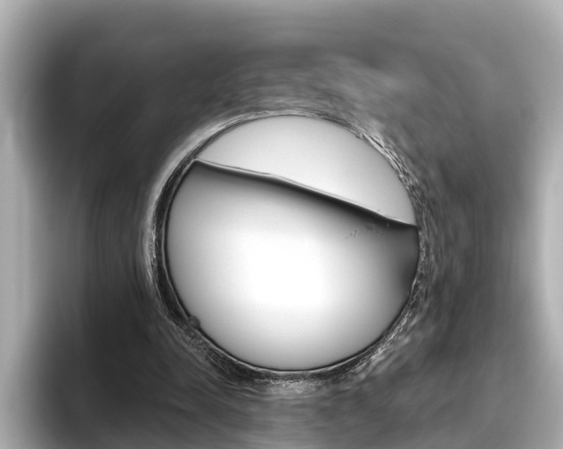 X0000096470342200801241143