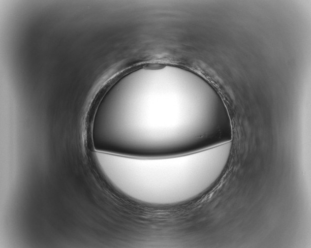 X0000096470344200801241143