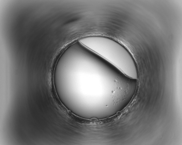 X0000096470345200801241143