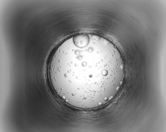 X0000096470346200801241143