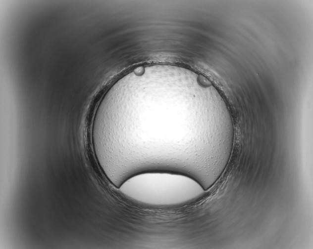 X0000096470347200801241143
