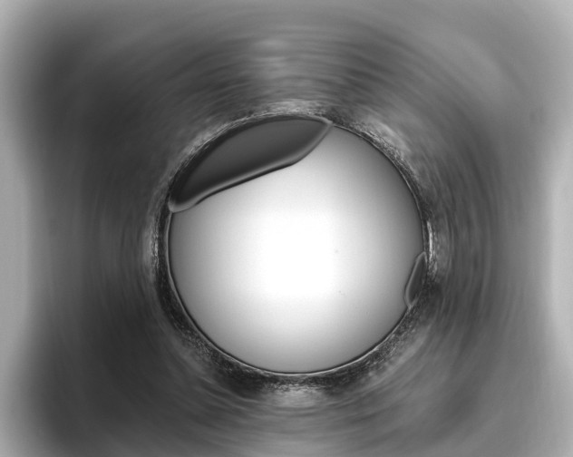 X0000096470348200801241143