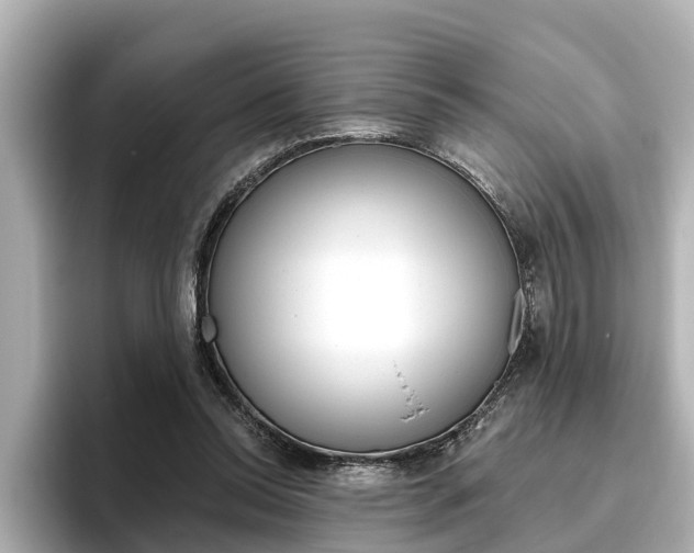 X0000096470350200801241143