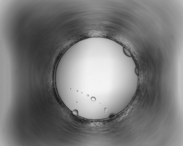 X0000096470353200801241143