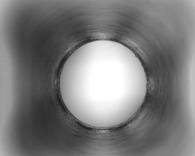 X0000096470355200801241143