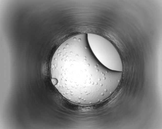 X0000096470359200801241143