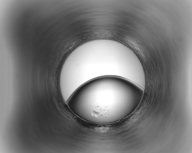 X0000096470362200801241143