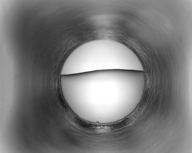 X0000096470363200801241143