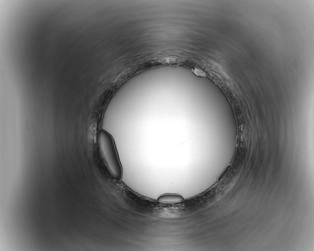 X0000096470368200801241143