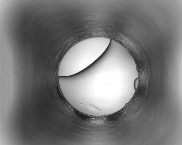 X0000096470373200801241143