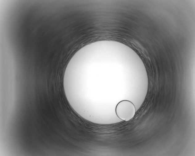 X0000096470376200801241143