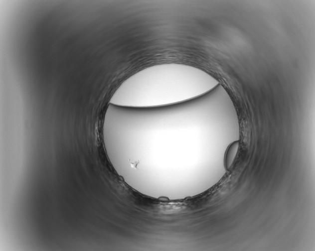 X0000096470378200801241143