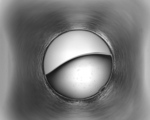 X0000096470385200801241142