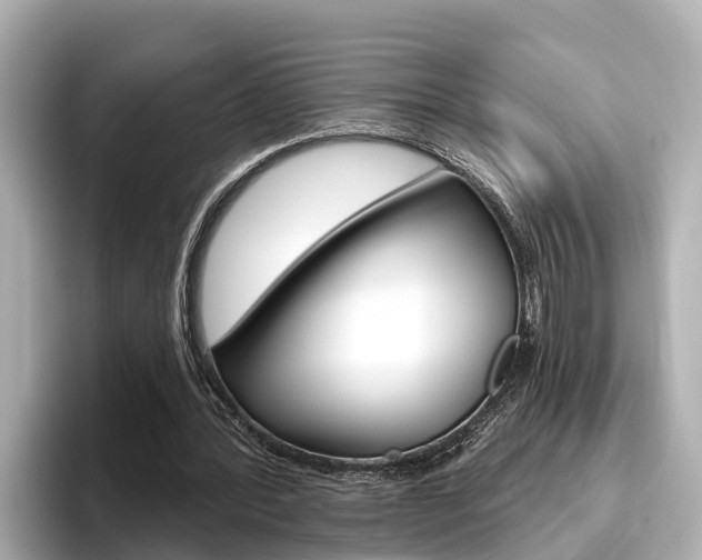 X0000096470388200801241142