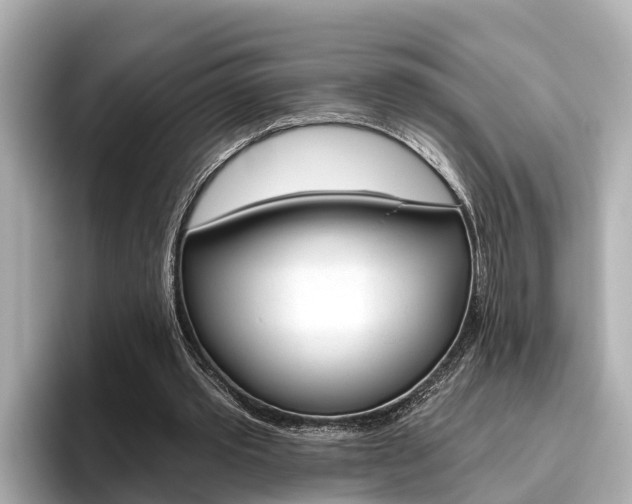 X0000096470389200801241142
