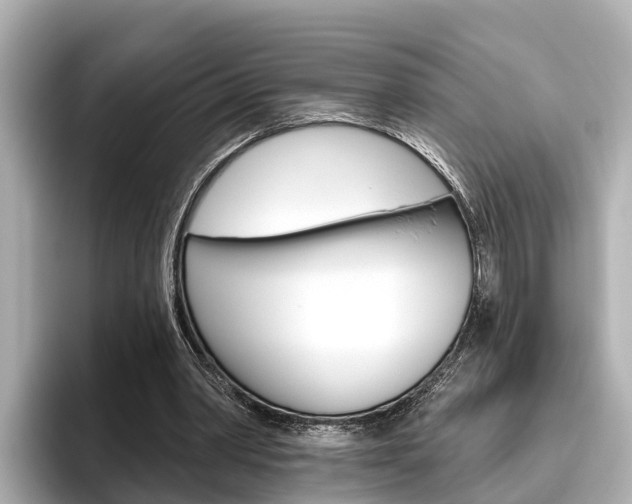 X0000096470390200801241142