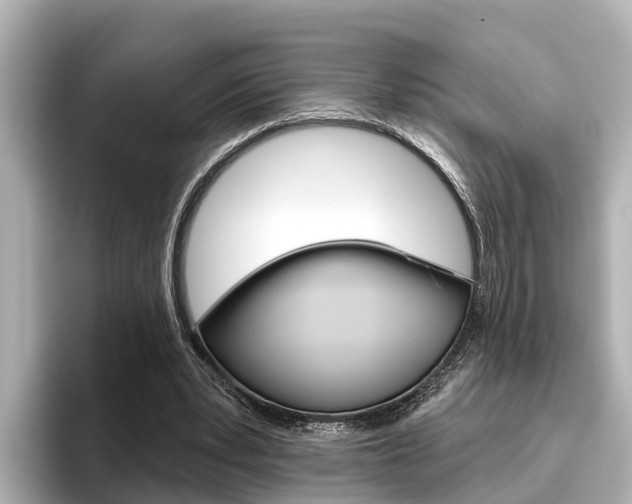 X0000096470391200801241142