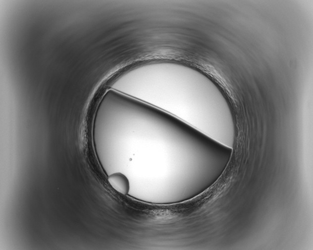 X0000096470392200801241142