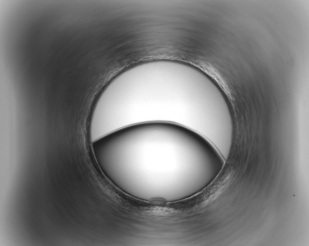 X0000096470393200801241142