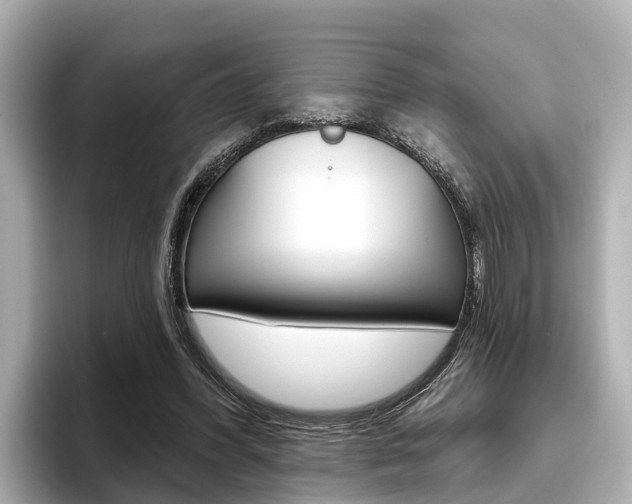 X0000096470396200801241142