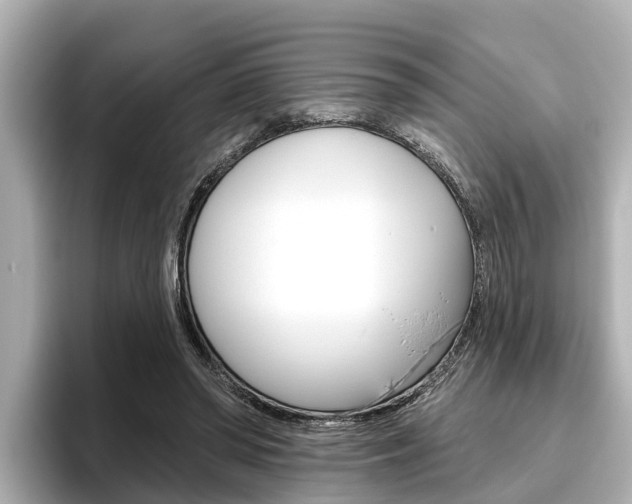 X0000096470398200801241142