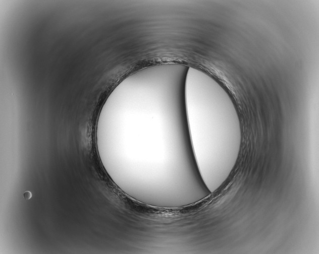 X0000096470402200801241142