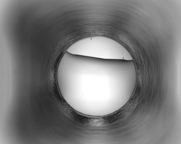 X0000096470410200801241142