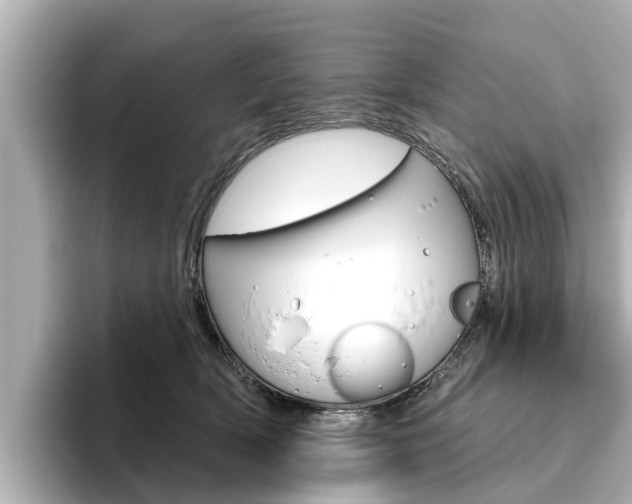 X0000096470418200801241142
