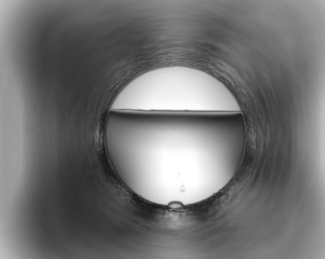 X0000096470420200801241142
