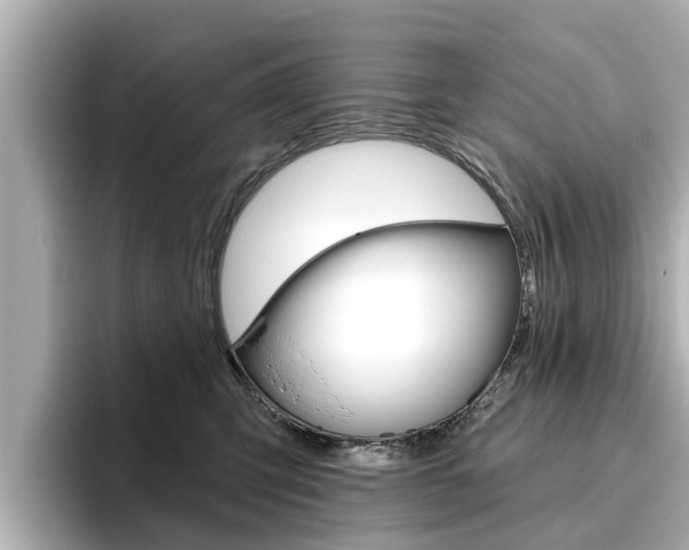 X0000096470423200801241142