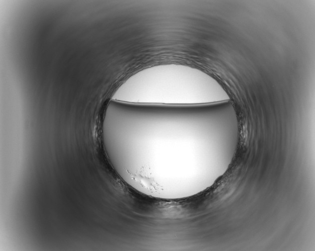 X0000096470424200801241142