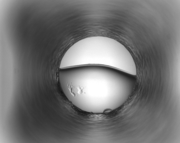 X0000096470428200801241142