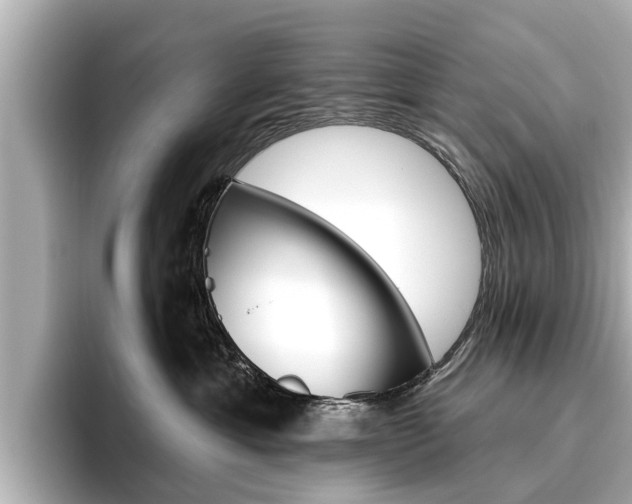 X0000096470429200801241142