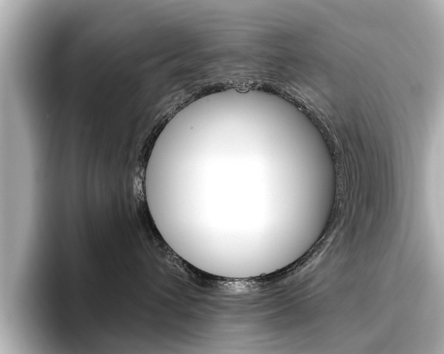 X0000096470432200801241142