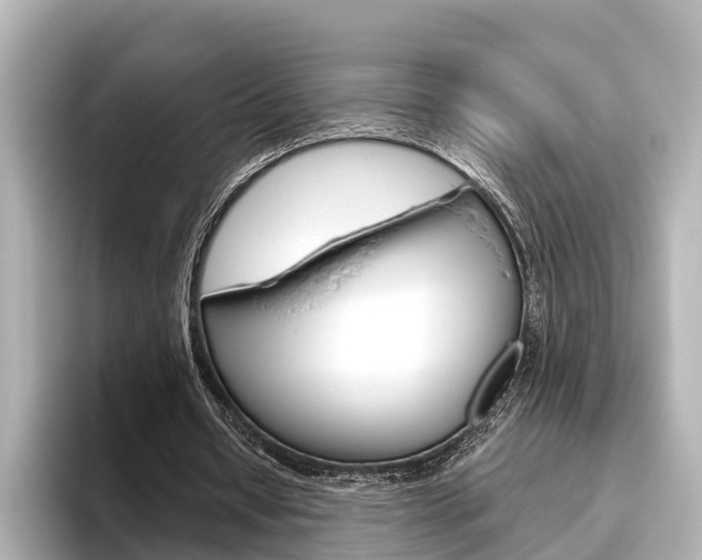 X0000096470434200801241141