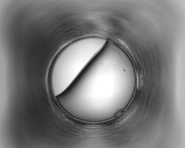 X0000096470435200801241141
