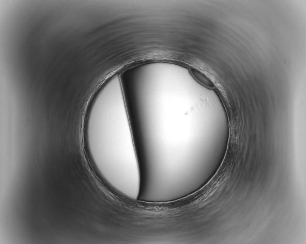 X0000096470437200801241141