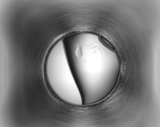 X0000096470438200801241141