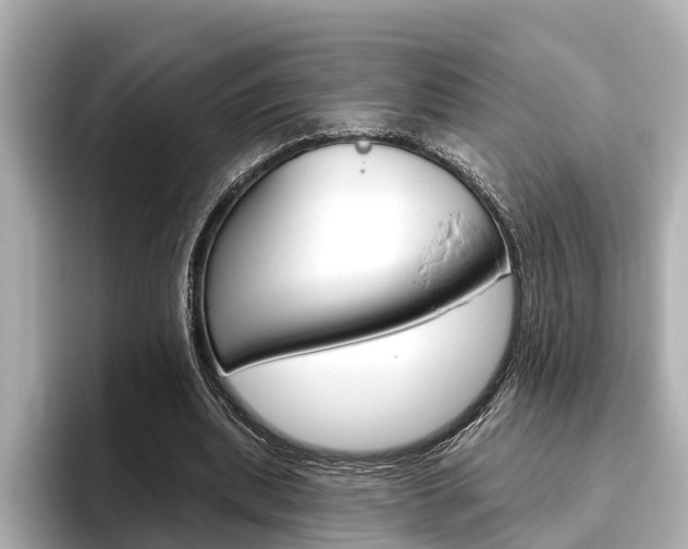 X0000096470439200801241141