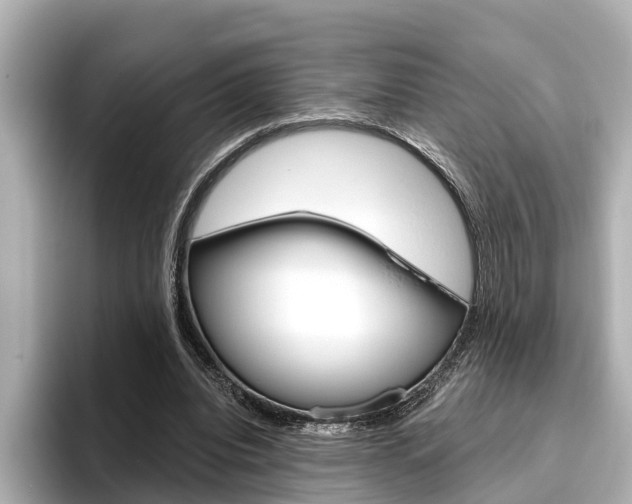 X0000096470440200801241141