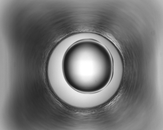 X0000096470441200801241141
