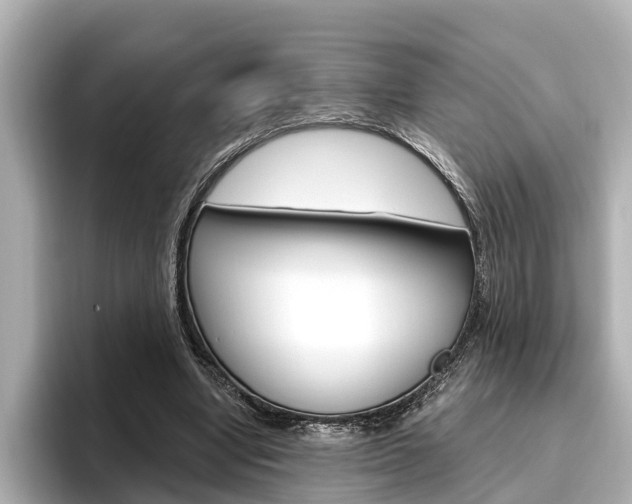 X0000096470442200801241141