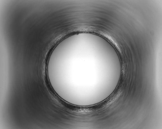 X0000096470445200801241141