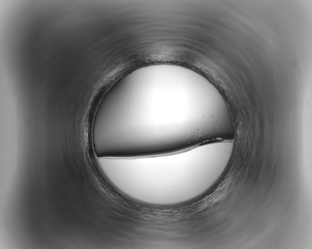 X0000096470446200801241141