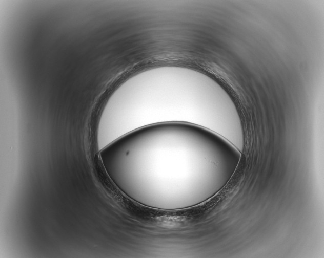 X0000096470448200801241141