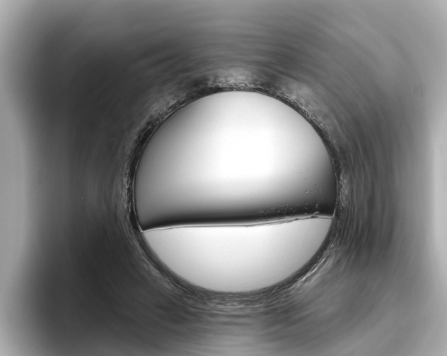 X0000096470449200801241141
