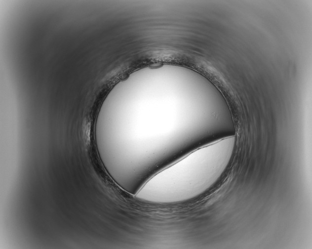 X0000096470454200801241142