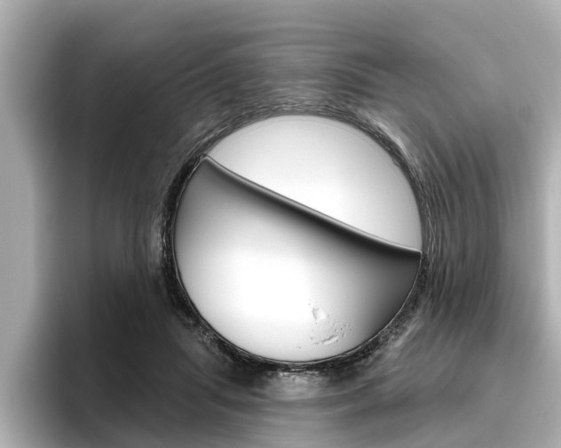 X0000096470455200801241142