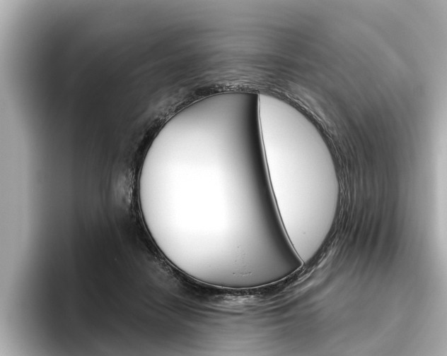 X0000096470458200801241142